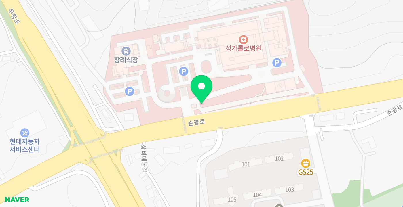 성가롤로병원 위치 지도