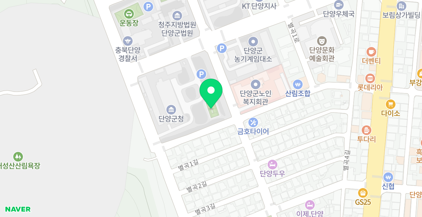 단양군청 위치 지도