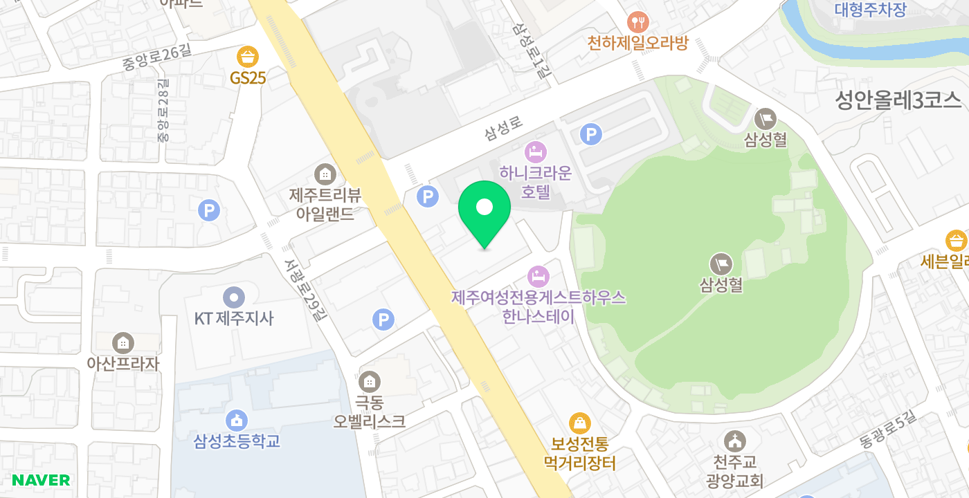 제주고용센터 위치 지도