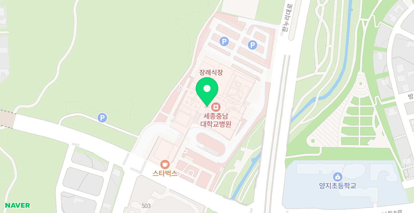 세종충남대병원 위치 지도