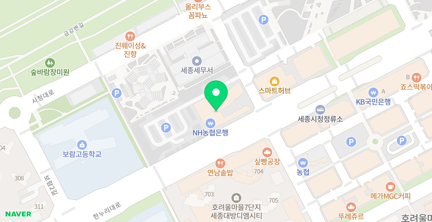 세종시교육청 위치 지도