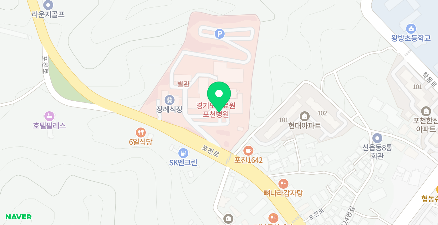 경기도의료원 포천병원 위치 지도