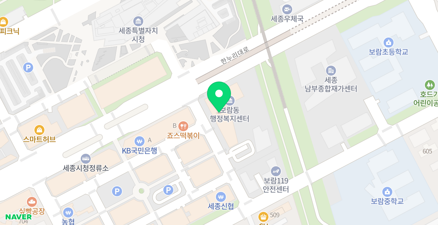 보람동 위치 지도