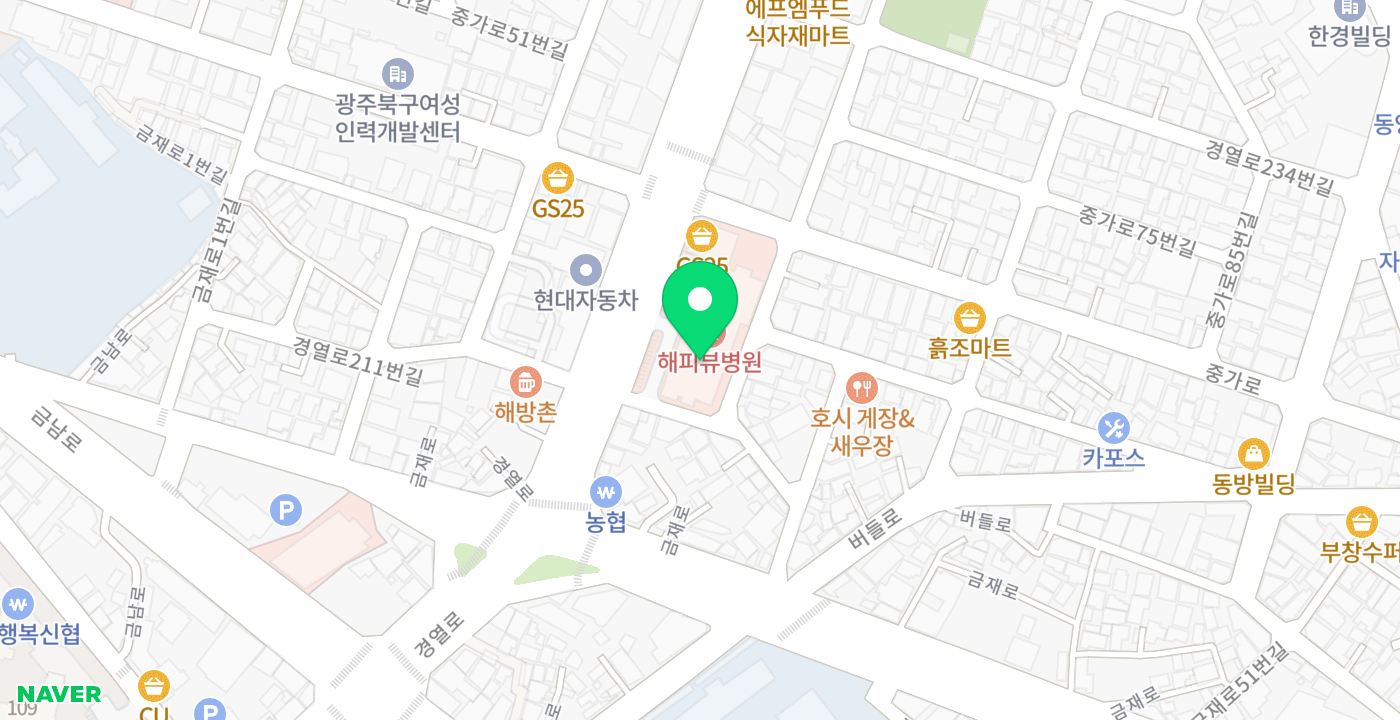 해피뷰병원 위치 지도