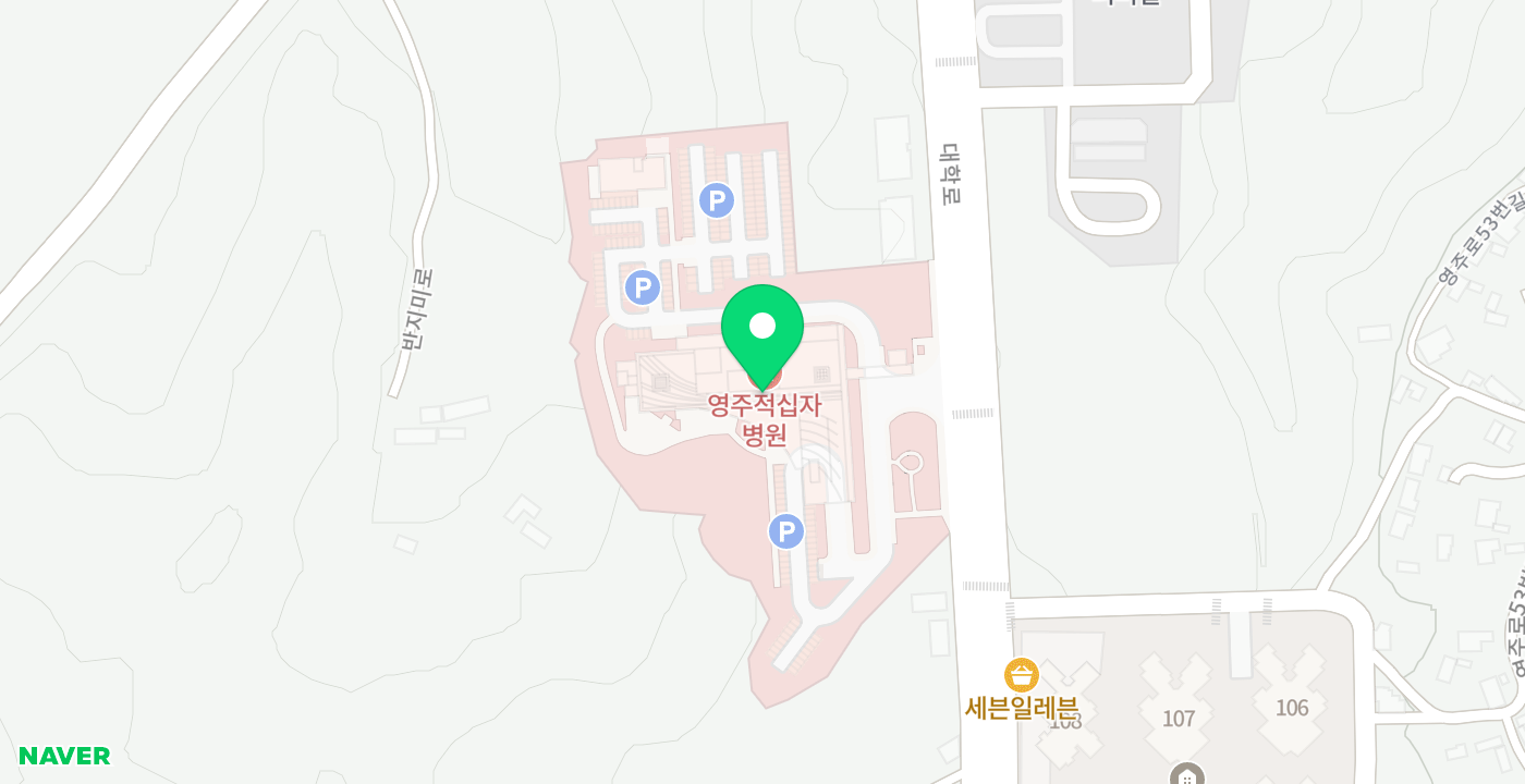 적십자 병원 위치 지도