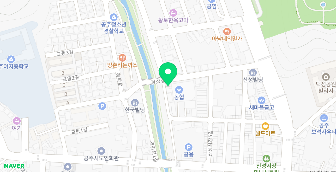 공주농협본점 위치 지도