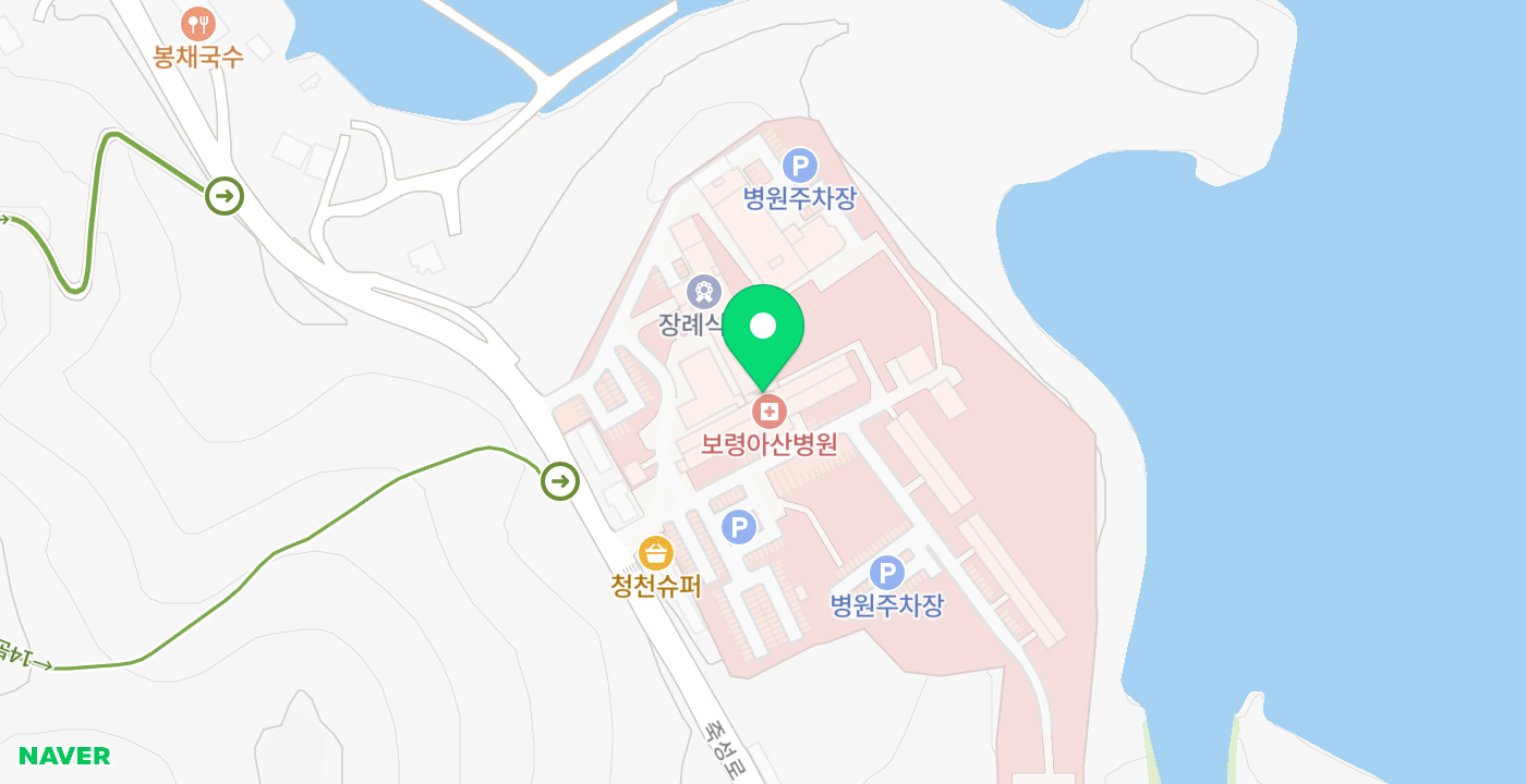 보령아산병원 위치 지도