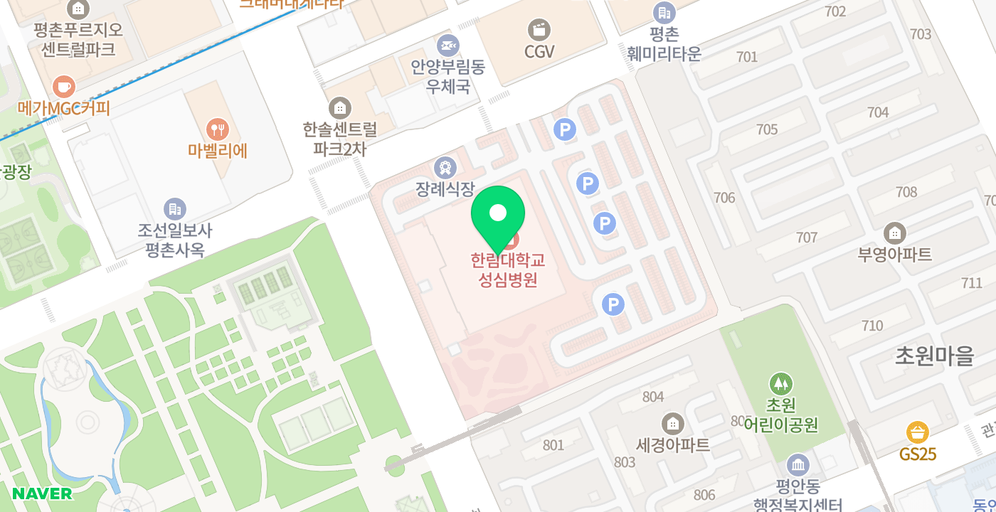한림대학교성심병원 위치 지도
