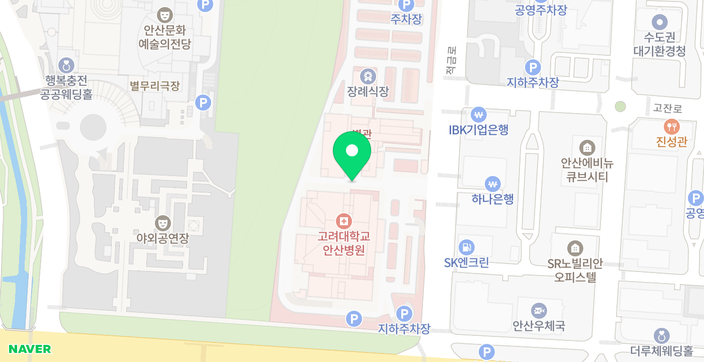 고대안산병원 위치 지도