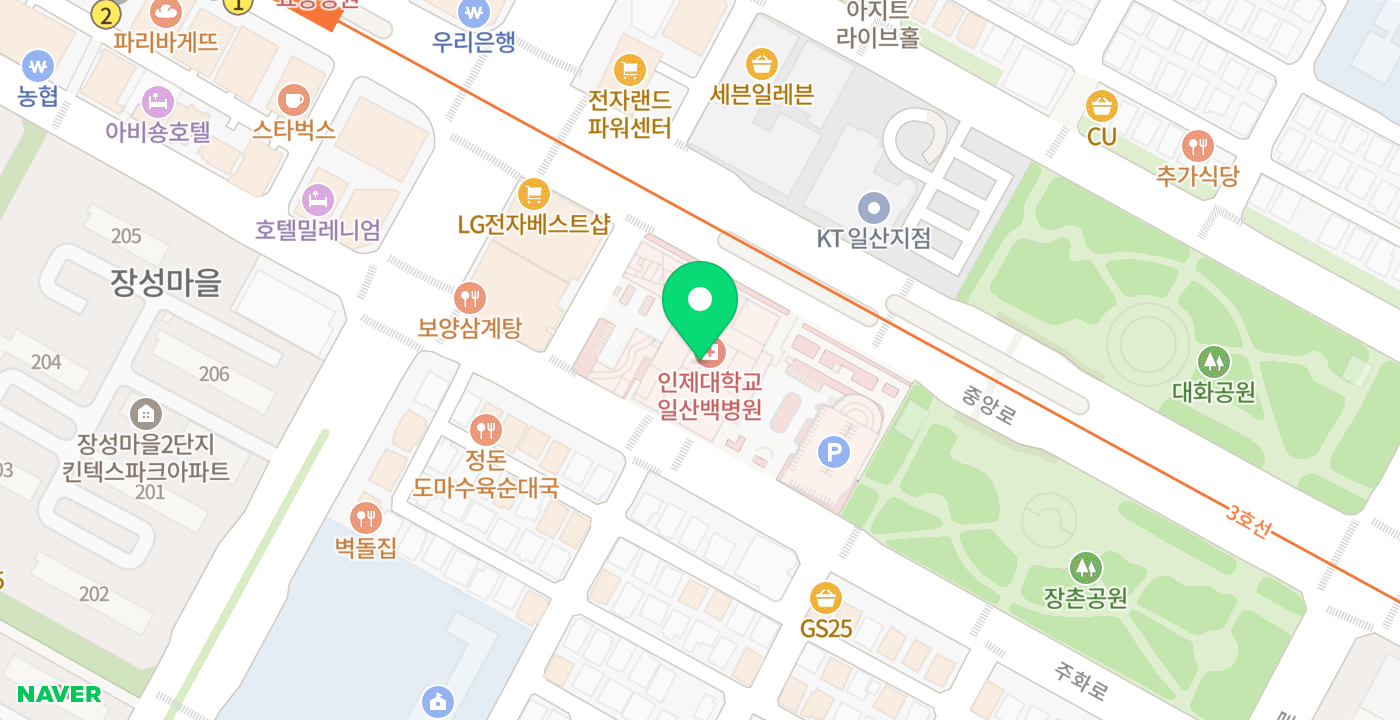 일산백병원 위치 지도