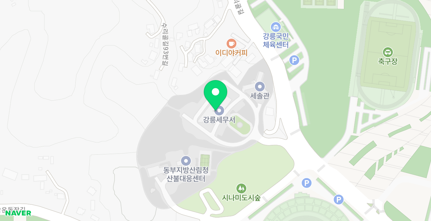 강릉세무서 위치 지도